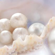 Mutiara Collection