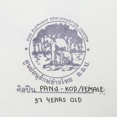 Alternate image for Original Creative Elephant Art Painting from Thailand Creative Live