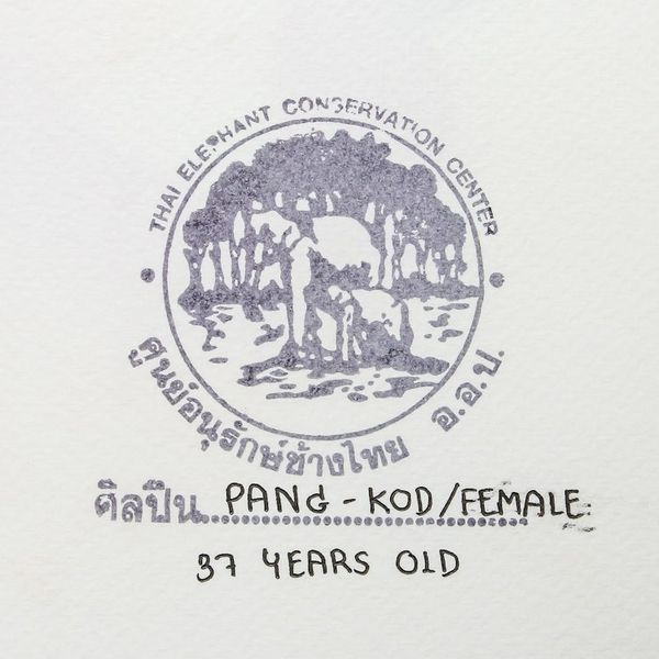 Alternate image for Original Creative Elephant Art Painting from Thailand Creative Live