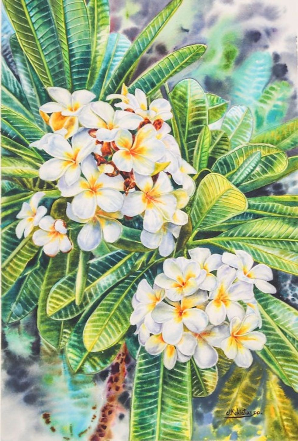 Stretched Impressionist Watercolor Painting of White Flowers 'White Frangipani III'