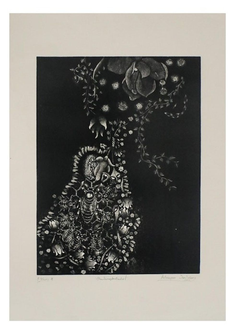 Thai Black and White Etching Print of Flowers and Insects 'Beauty in the Form of Nature'