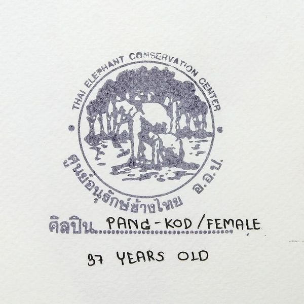Alternate image for Elephant Art Painting with Colorful Lines from Thailand Fun Run