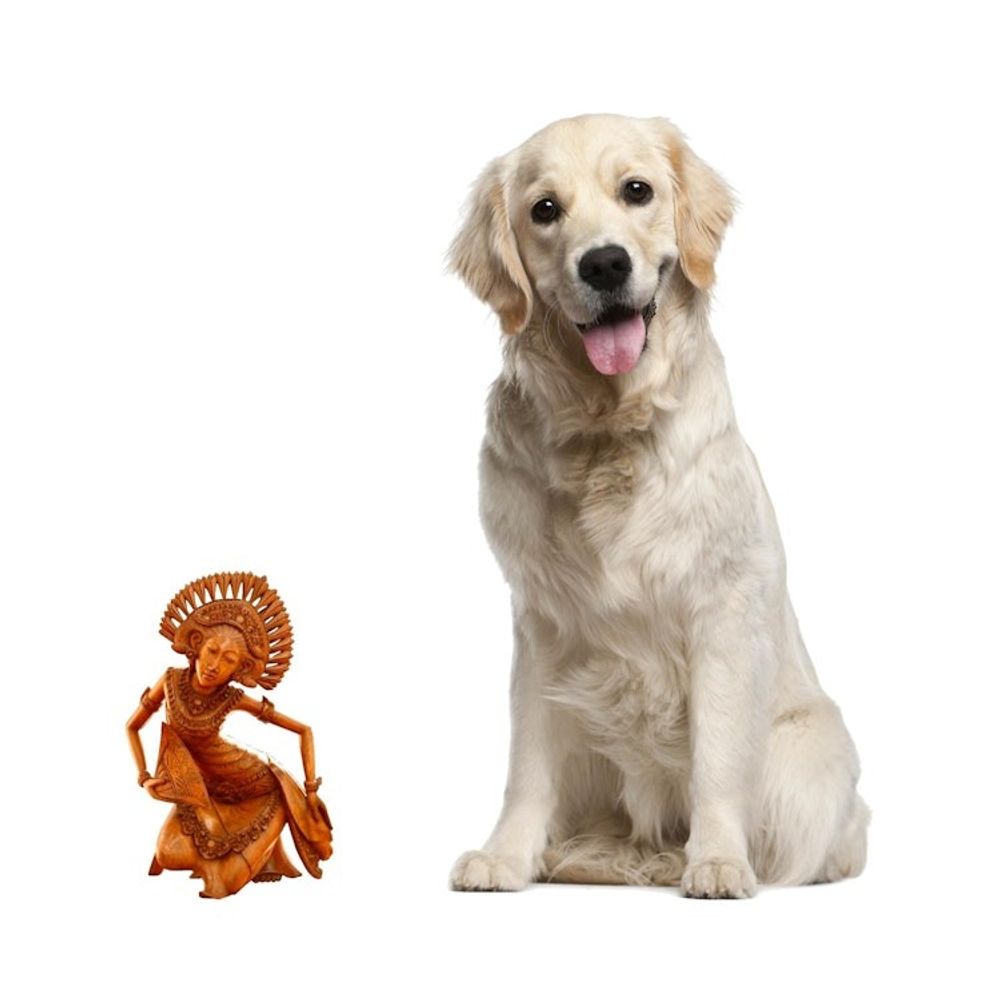 Alternate item image