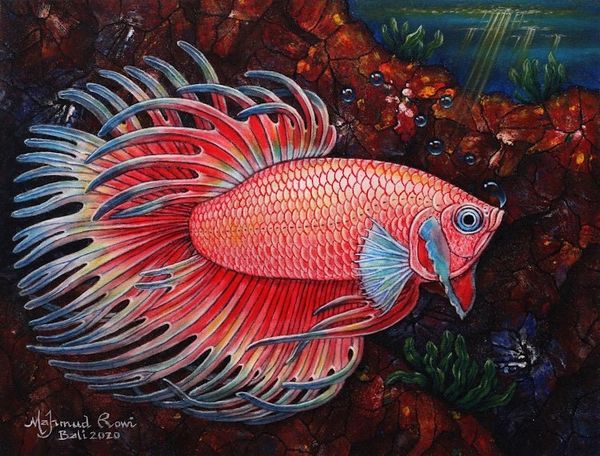 Alternate image for Original Signed Balinese Betta Fish Painting Rooster Betta