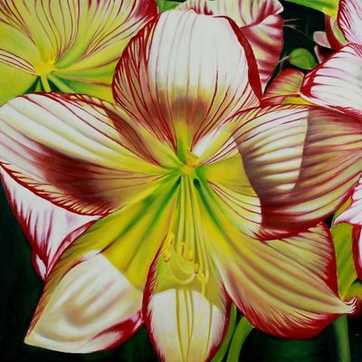 Alternate image for Hybrid Hibiscus Floral Art Hibiscus Charm