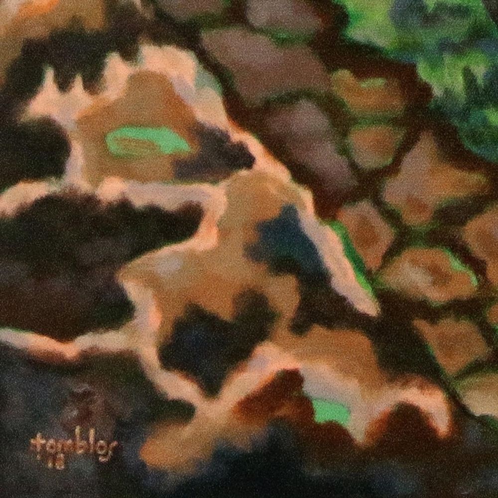 Alternate item image