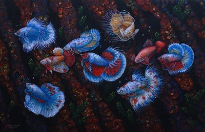 Alternate image for World Peace-Themed Signed Painting Betta Fish Bali 2019 Harmony
