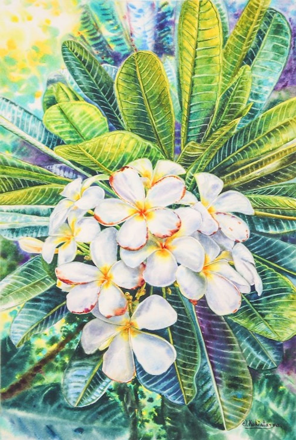 Signed Impressionist Watercolor Painting of White Flowers 'White Frangipani II'