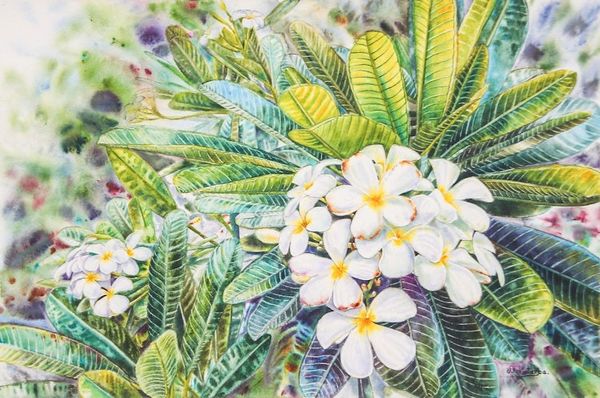 Alternate image for Stretched Floral Impressionist Watercolor Painting White Frangipani I