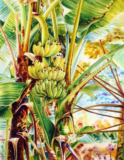 Alternate image for Signed Watercolor Realist Painting of Banana Trees Thai Banana