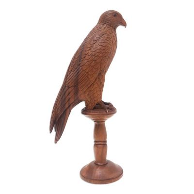 Alternate image for Hand-Carved Suar Wood Falcon Sculpture from Bali Calm Falcon