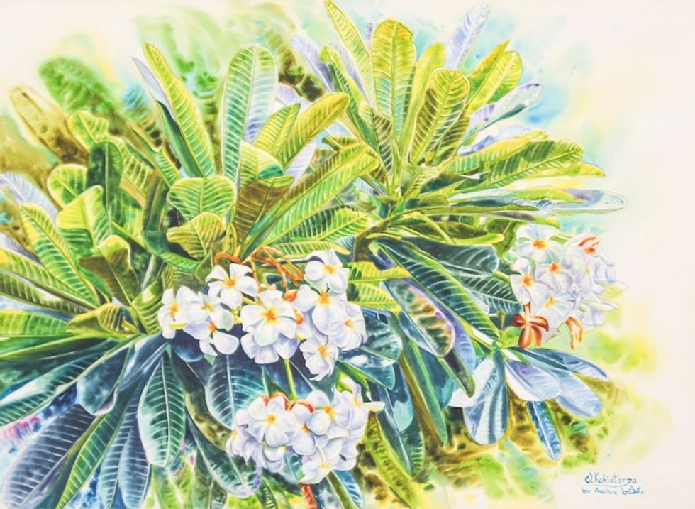 Watercolor Impressionist Painting of Frangipani Flowers 'Frangipani Season II'