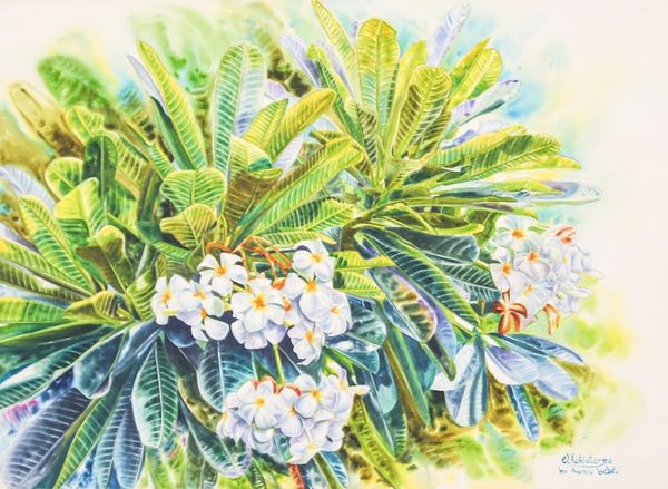 Alternate image for Watercolor Impressionist Painting of Frangipani Flowers Frangipani Season II