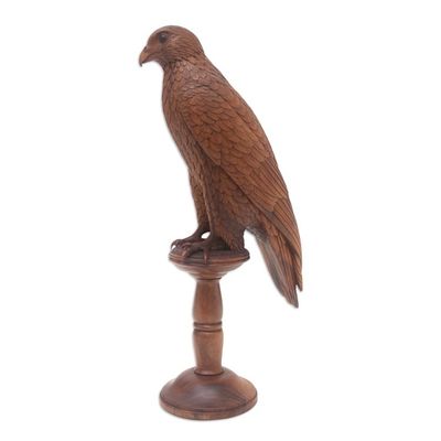 Alternate image for Hand-Carved Suar Wood Falcon Sculpture from Bali Calm Falcon