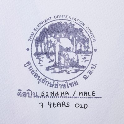 Alternate image for Thai Elephant Artist Coral Painting in Primary Colors Colorful Coral