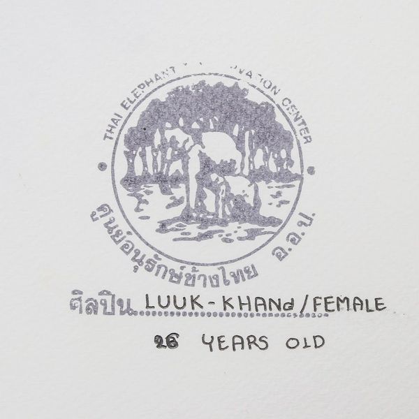 Alternate image for Busy Authentic Elephant Art Painting from Thailand Racing Team