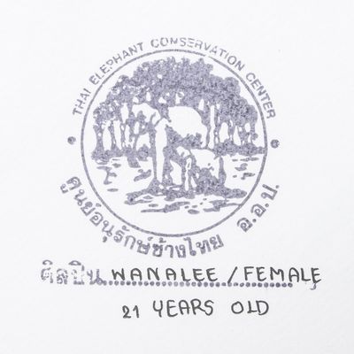 Alternate image for Authentic Original Abstract Elephant Painting from Thailand Party