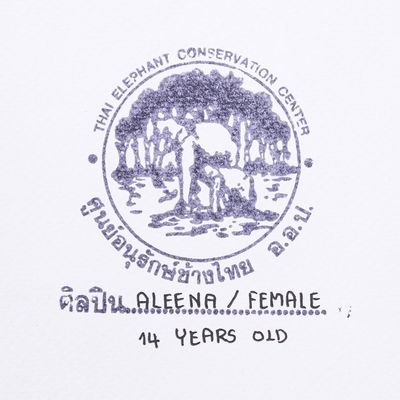 Alternate image for Dark-Toned Abstract Acrylic Painting by Elephant Artist Flamingo Dance II