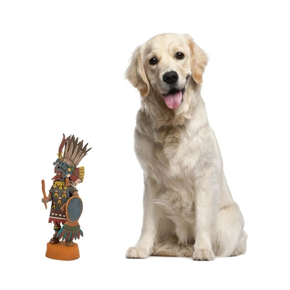 Alternate item image