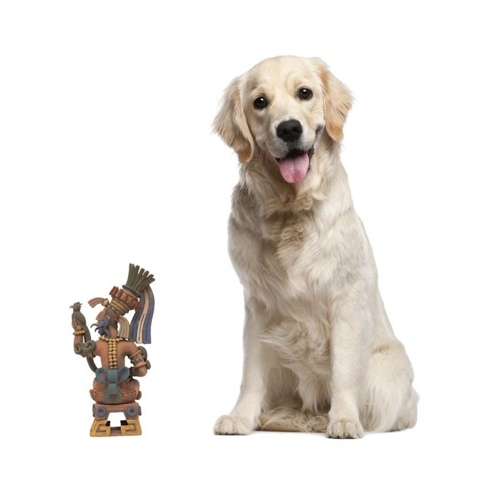 Alternate item image