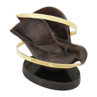 Alternate image for World Peace Project Bronze and Steel Sculpture from Brazil Dove