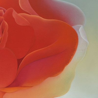 Alternate image for Peace Rose Signed Stretched Painting of Symbolic Flower Nectar of Life