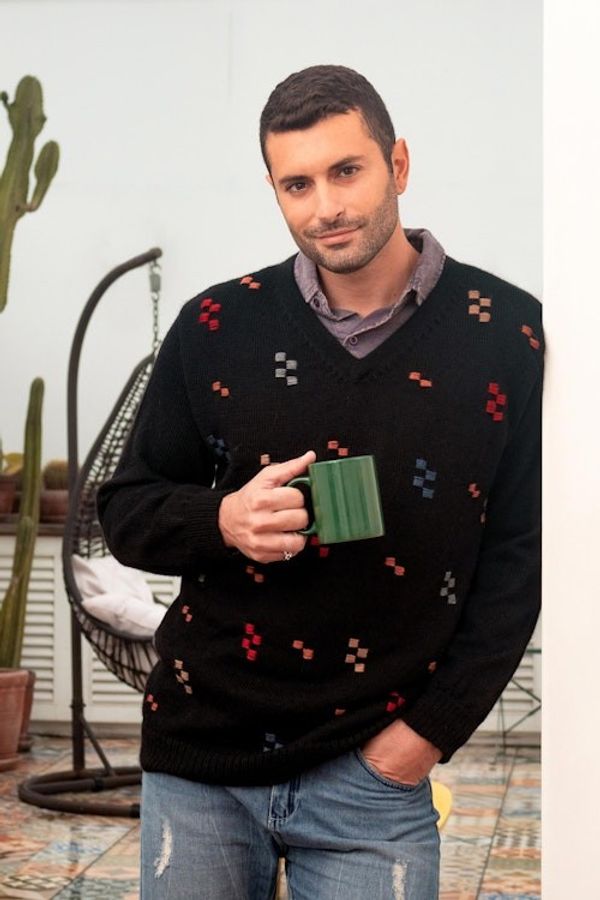 Alternate image for 100 Alpaca Mens Pullover Sweater with Hand Embroidery Little Stitches