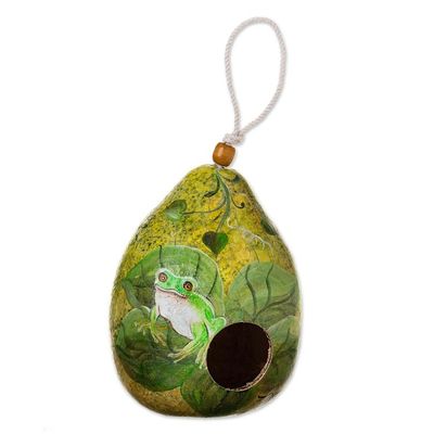 Alternate image for Hand Painted Bluebird Motif Dried Gourd Birdhouse from Peru Green Frog Pond