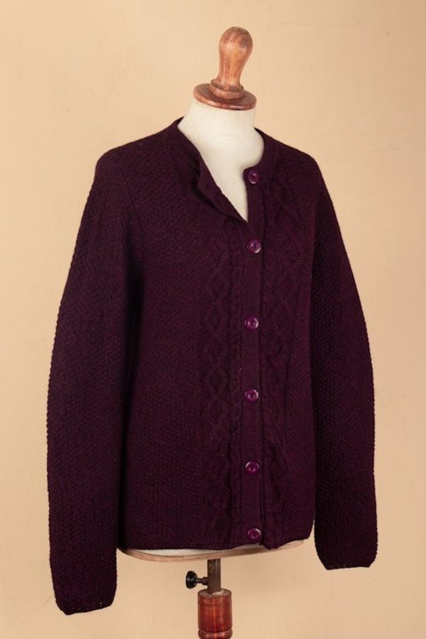 Alternate image for Knit Soft 100 Alpaca Button-Up Sweater in Bordeaux Hues Bordeaux Bonds