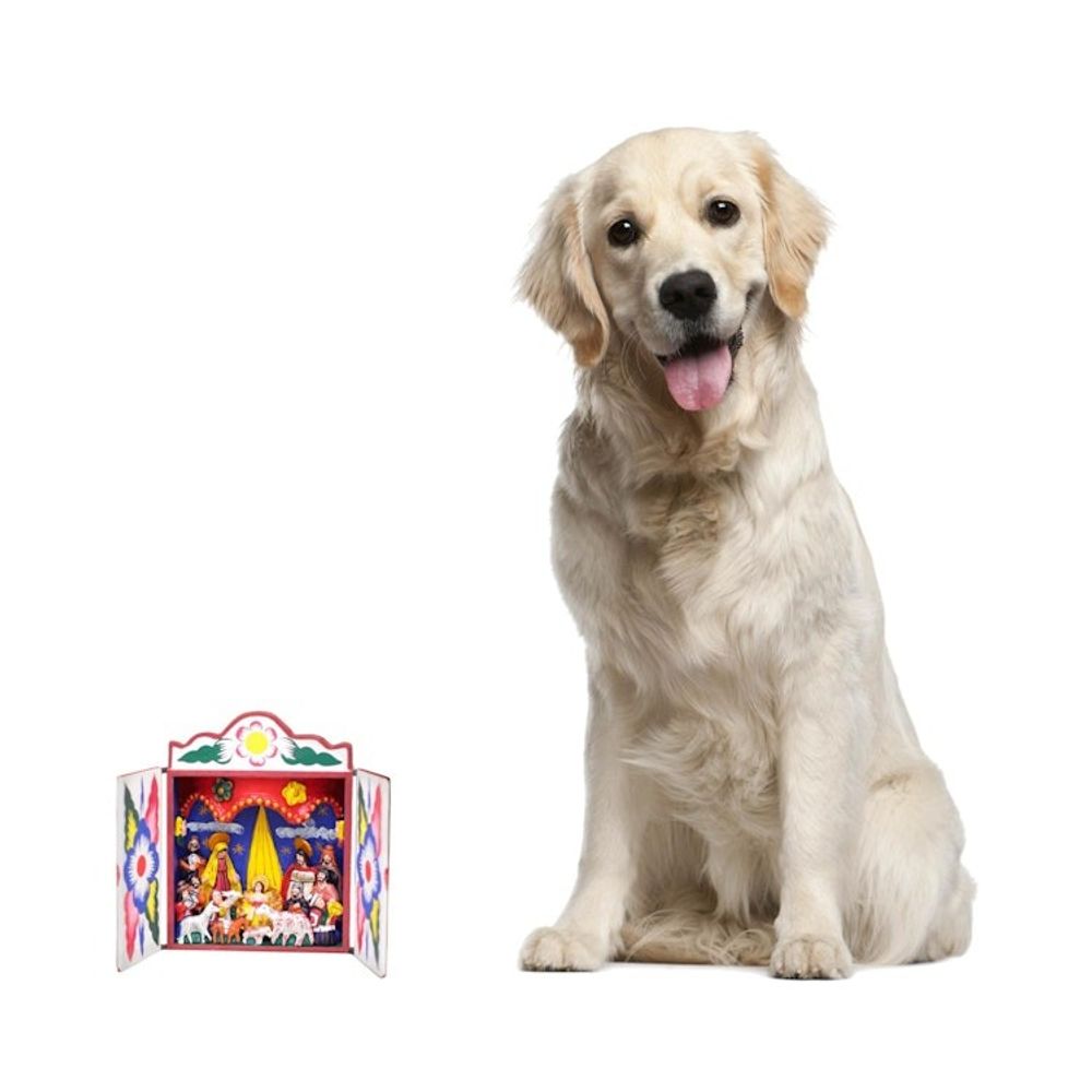 Alternate item image