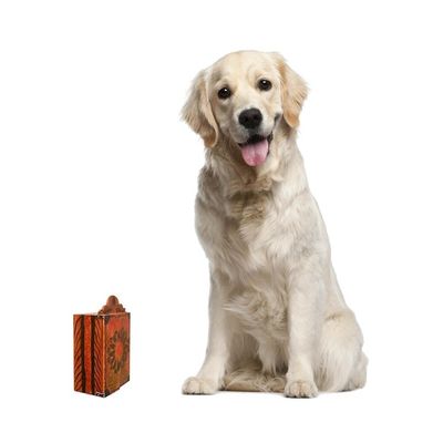 Alternate image for Painted Wood Retablo Andes Folk Art Handmade in Peru Virgin Mary