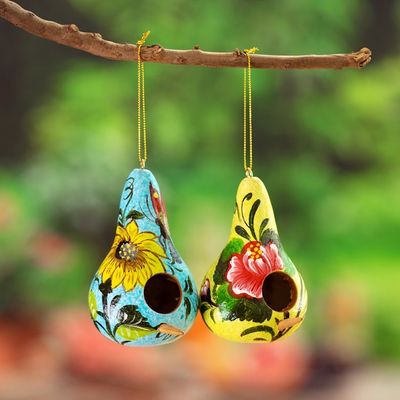Alternate image for Set of Two Floral Blue and Yellow Dried Gourd Ornaments Floral Homes