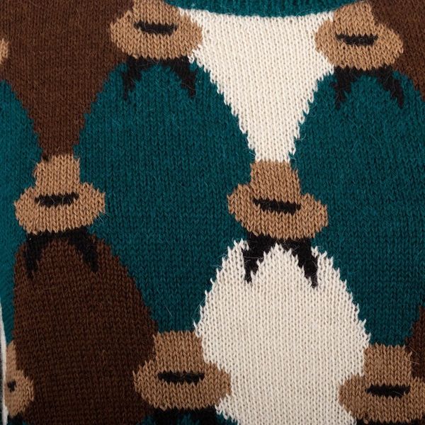 Alternate image for Hand Knit 100 Alpaca Sweater Hats of the Andes