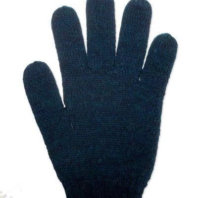 Alternate image for Knit Reversible Baby Alpaca Gloves in Indigo and Peacock Peacock Trends