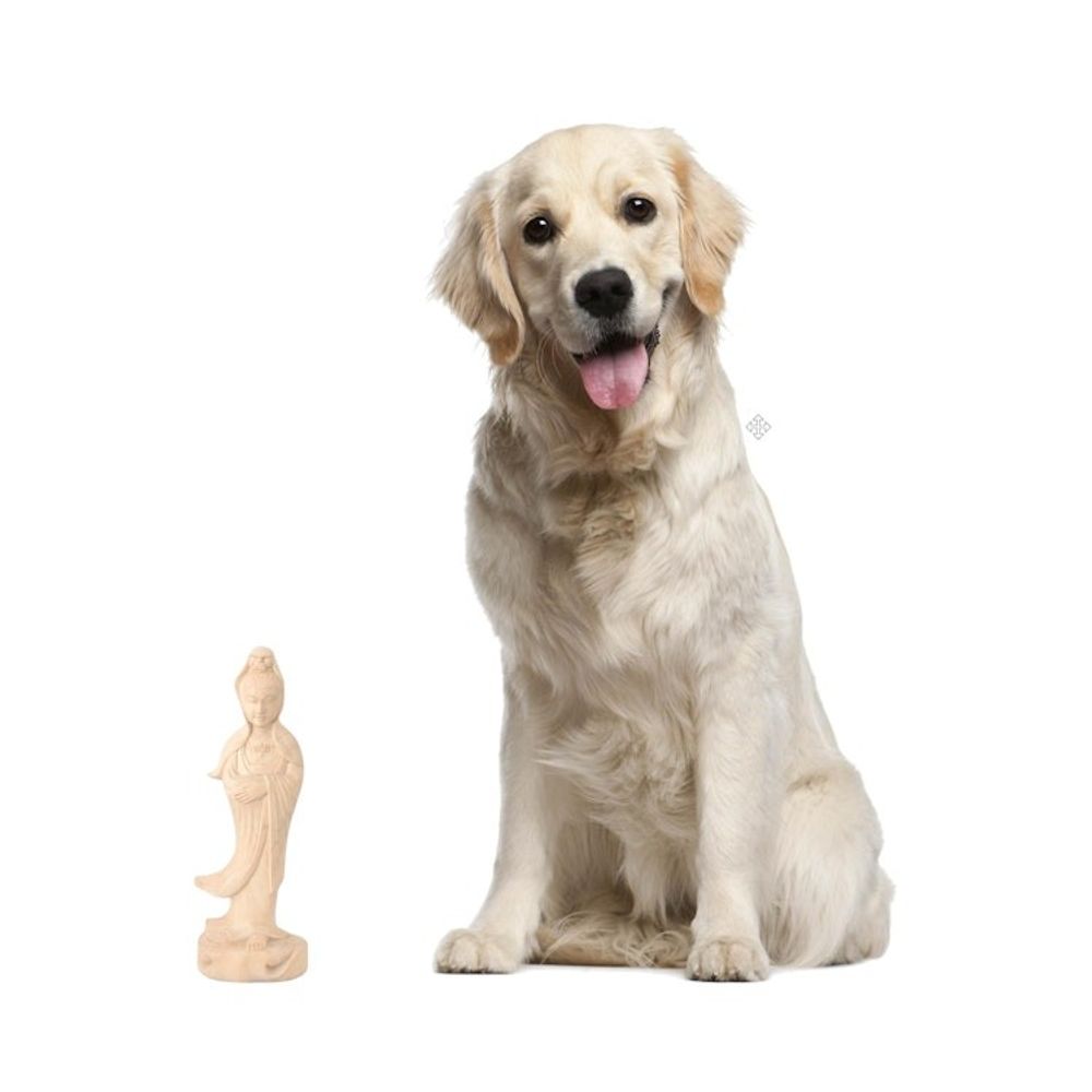 Alternate item image