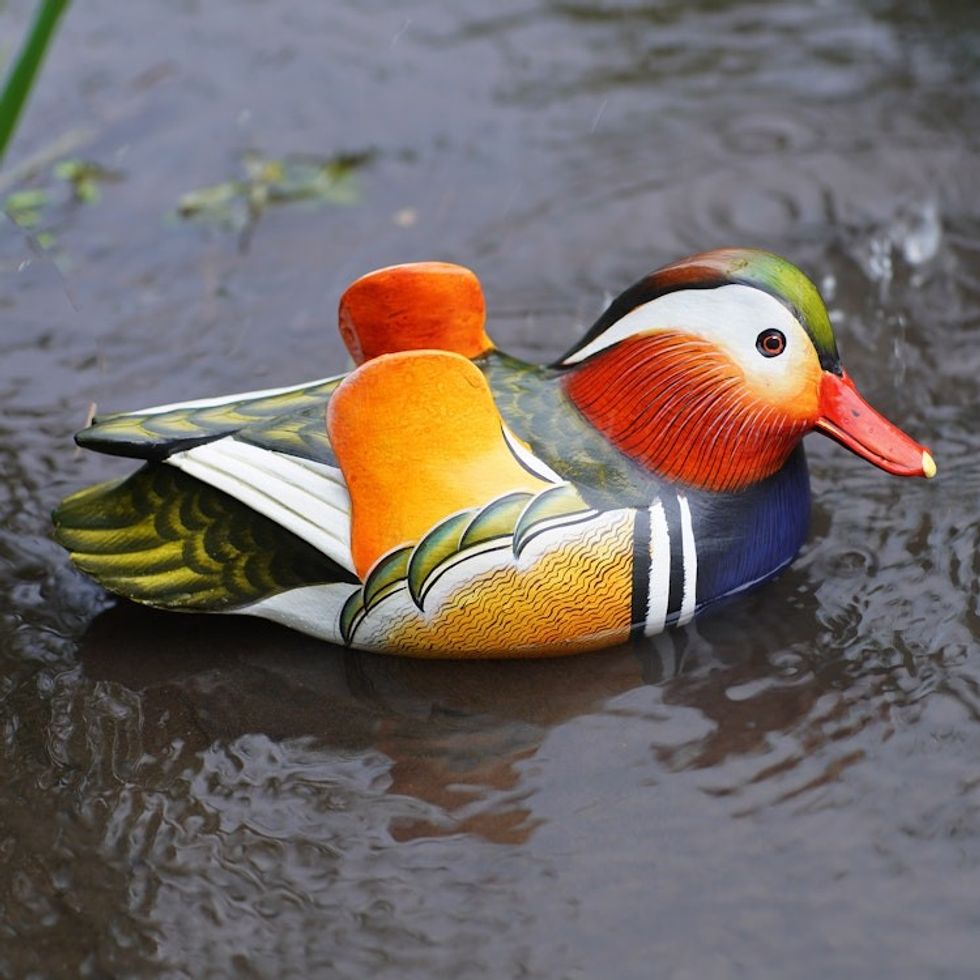 Hand Carved Suar Wood Duck Sculpture 'Colorful Mandarin'