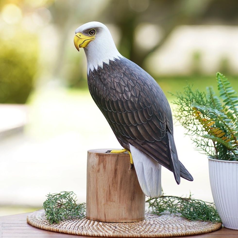 Suar and Teak Wood Eagle Sculpture Hand-Carved in Indonesia 'Iconic Bald Eagle'