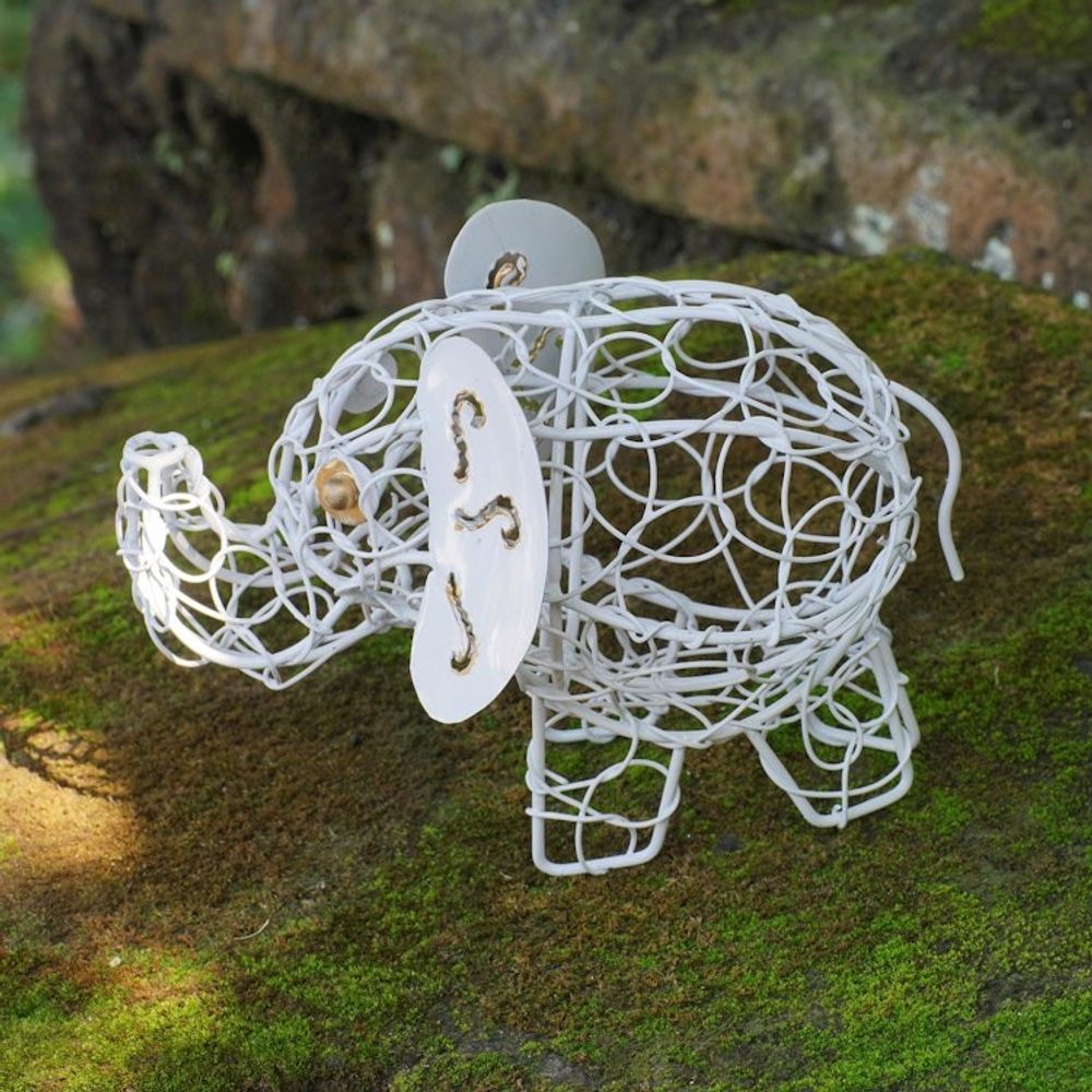 Alternate item image