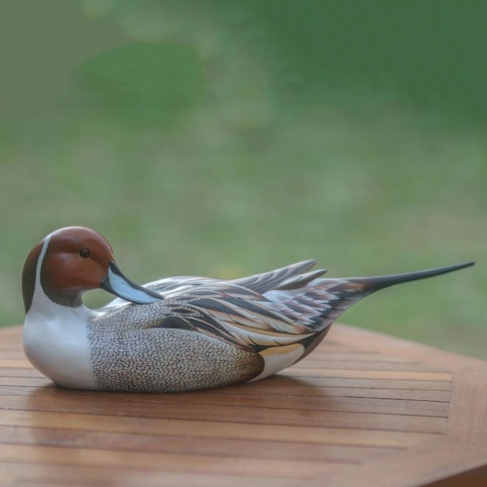 Indonesian Wood Bird Sculpture 'Posing Pintail Duck'