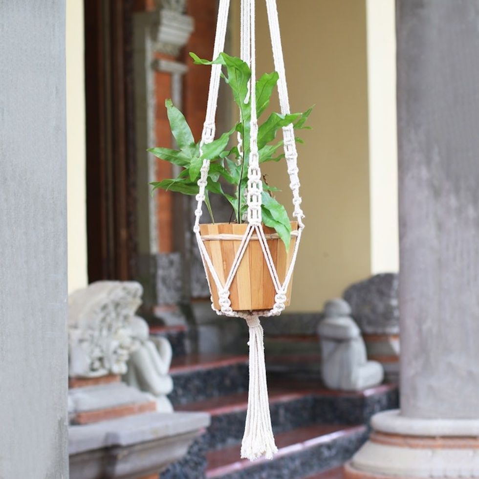 Hand-Knotted White Cotton Macrame Hanger from Bali 'Pure Home'