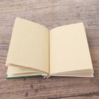 Alternate image for Green Natural Fiber Turtle-Motif Journal Tortoise Thoughts in Green