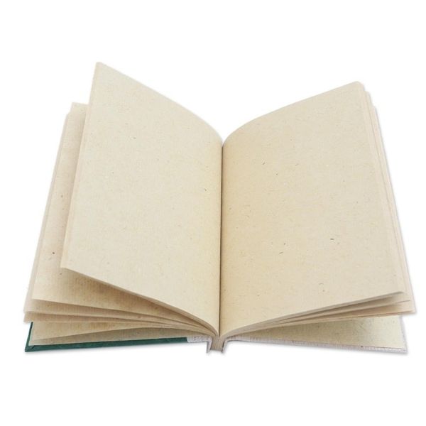 Alternate image for Green Natural Fiber Turtle-Motif Journal Tortoise Thoughts in Green