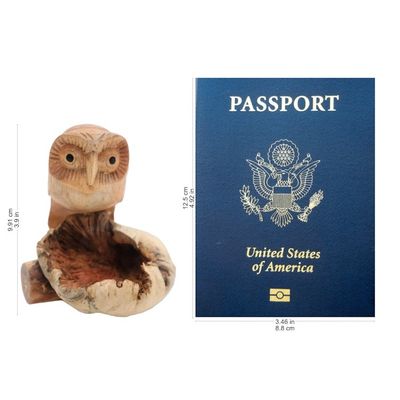 Alternate image for Jempinis Wood Owl Figurine from Bali Lone Owl