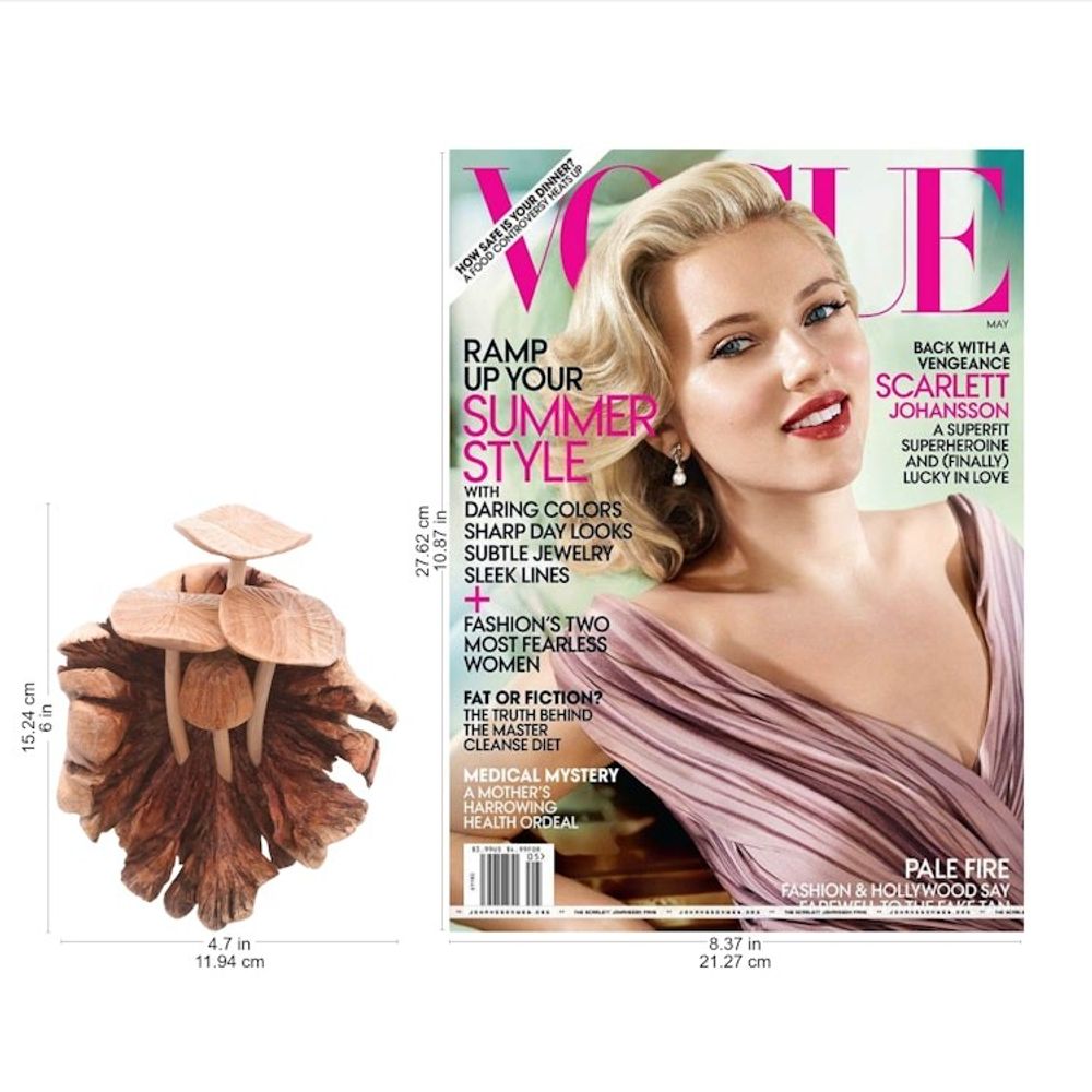 Alternate item image