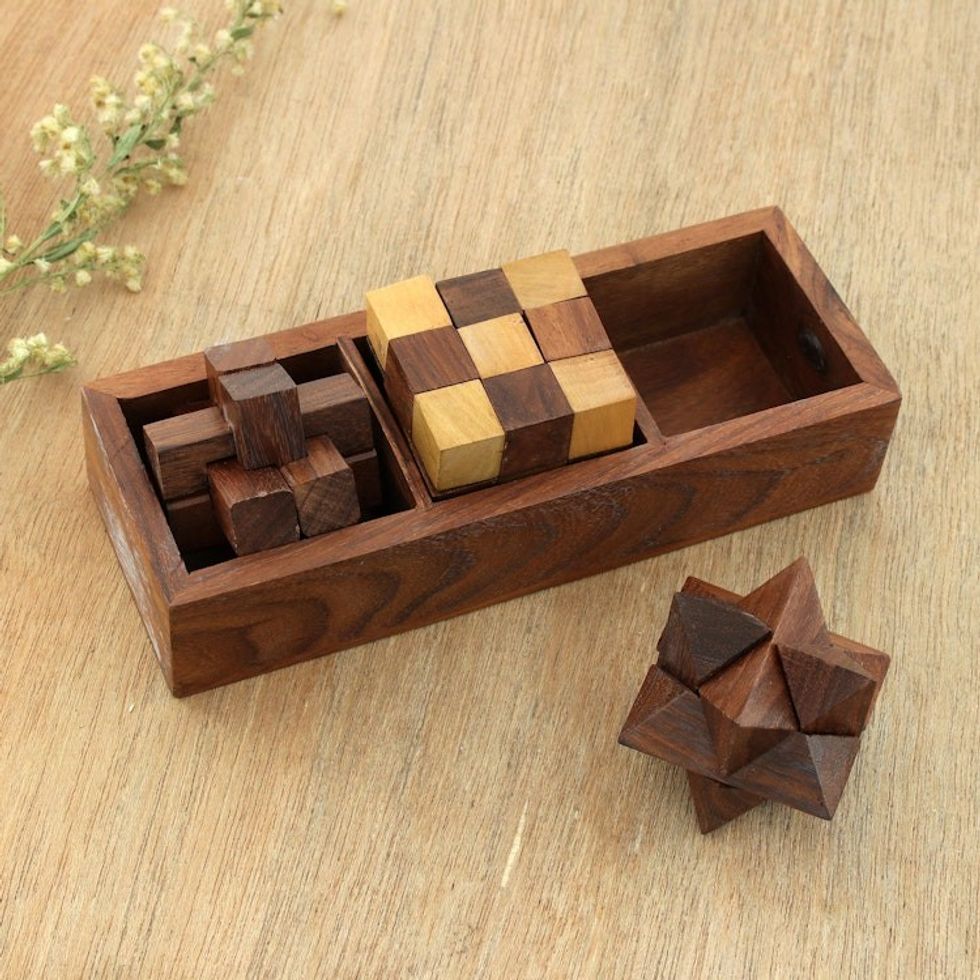 Handcrafted Wood Puzzles Set of 3 from India 'Challenging Trio'