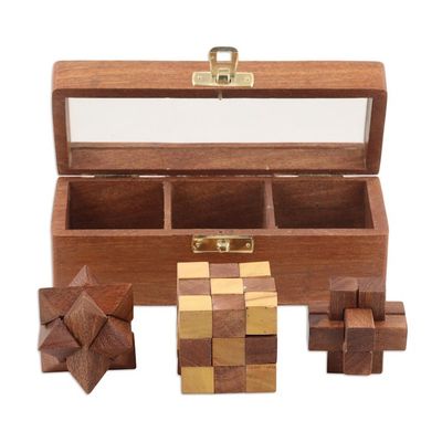 Alternate image for Acacia Wood Puzzles Boxed Set of 3 Triple the Fun