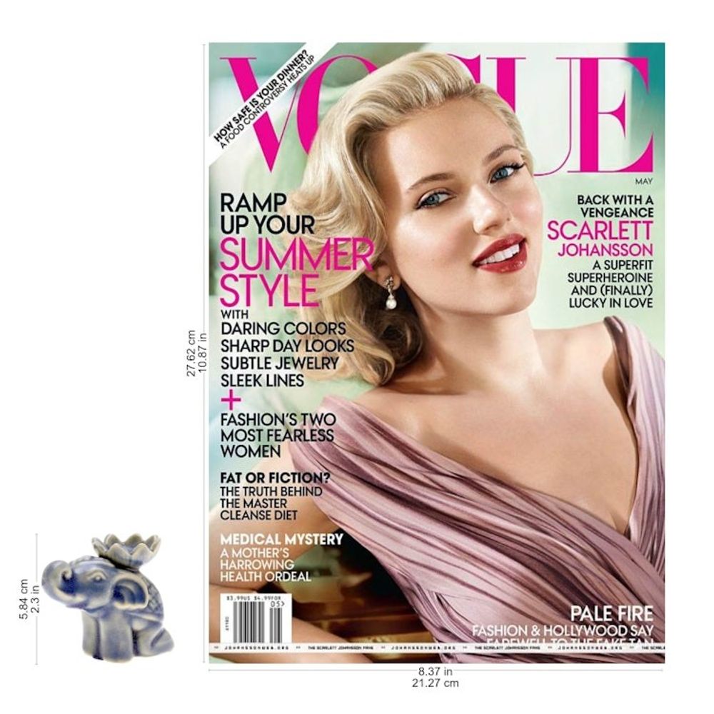 Alternate item image