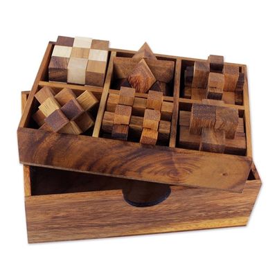 Alternate image for Handcrafted Set of Six Wooden Puzzles from Thailand Puzzle Set