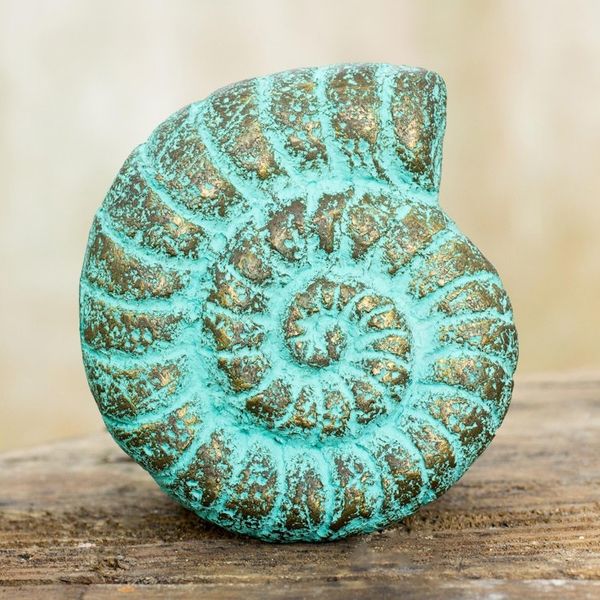 Alternate image for Seashell Wall Art Sculpture Handmade with Recycled Paper Fossilized Nautilus