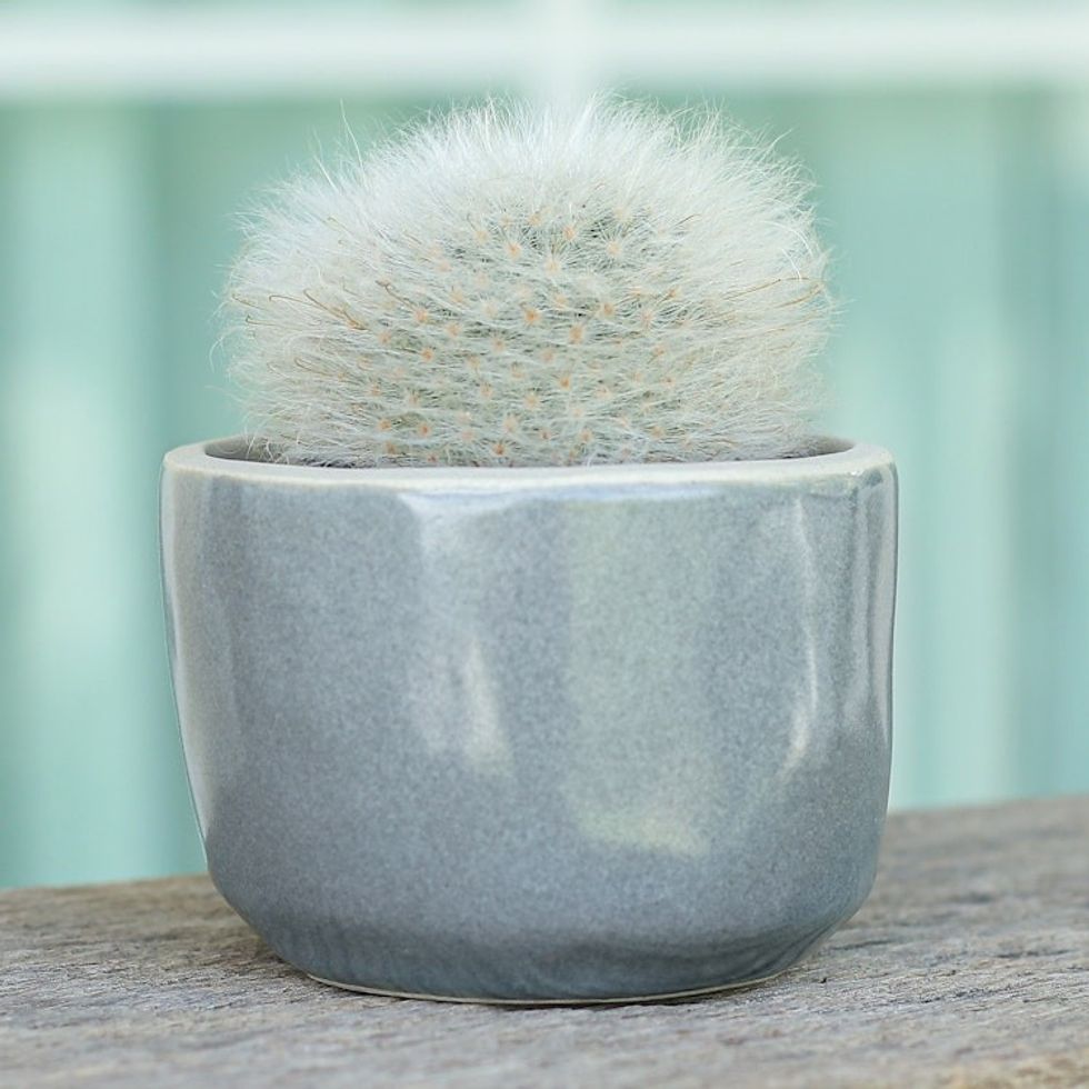 Handcrafted Ceramic Flower Pot with Polished Grey Surface 'Grey Bud'